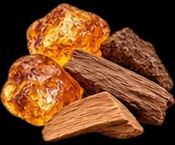 Amber resin and wood representing the amberwood accord