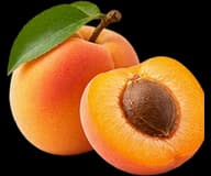 Apricot