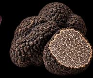 Black Truffle