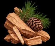 Cedar