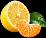 Citrus fruit representing the citrus accord