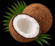 Creamy Coconut