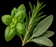 Herbs representing the herbal accord