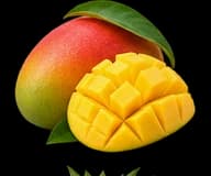 Alphonso Mango