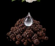 Moist earth representing the petrichor accord