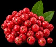 Pink Pepper