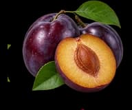 Plum