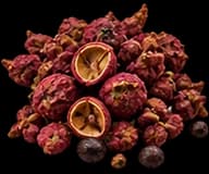 spicy Sichuan Pepper