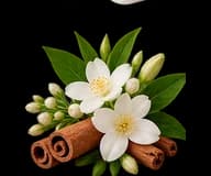 Flowers and spices representing a spicy floral accord